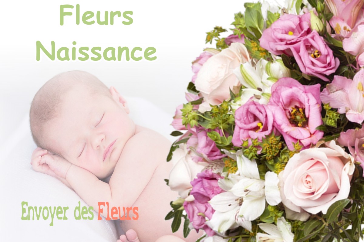 lIVRAISON FLEURS NAISSANCE à SAINT-JEAN-D-HERANS